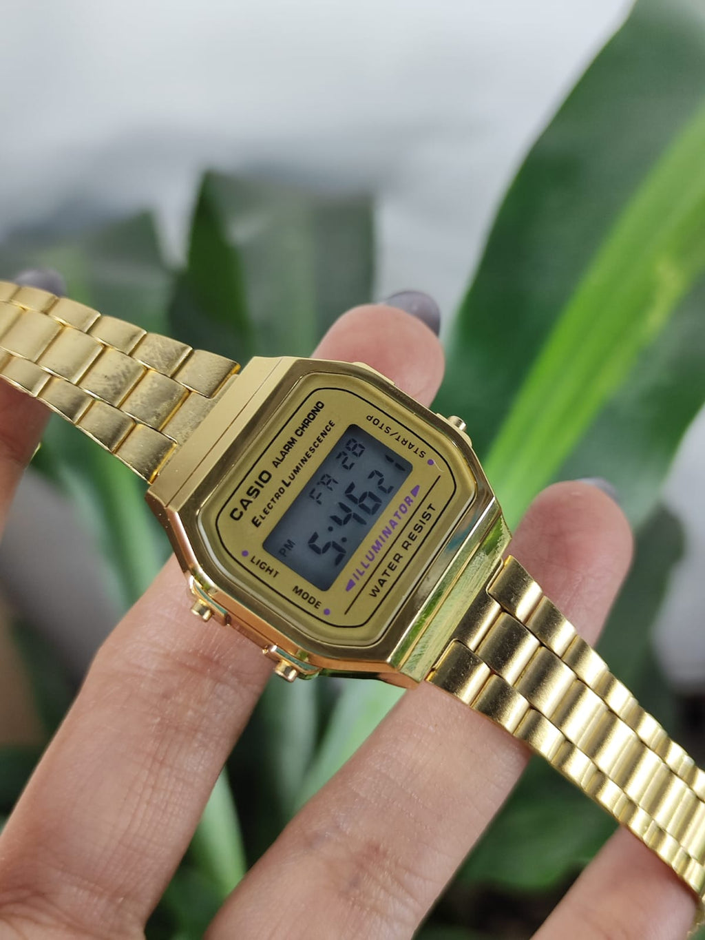 Casio (2627.035)