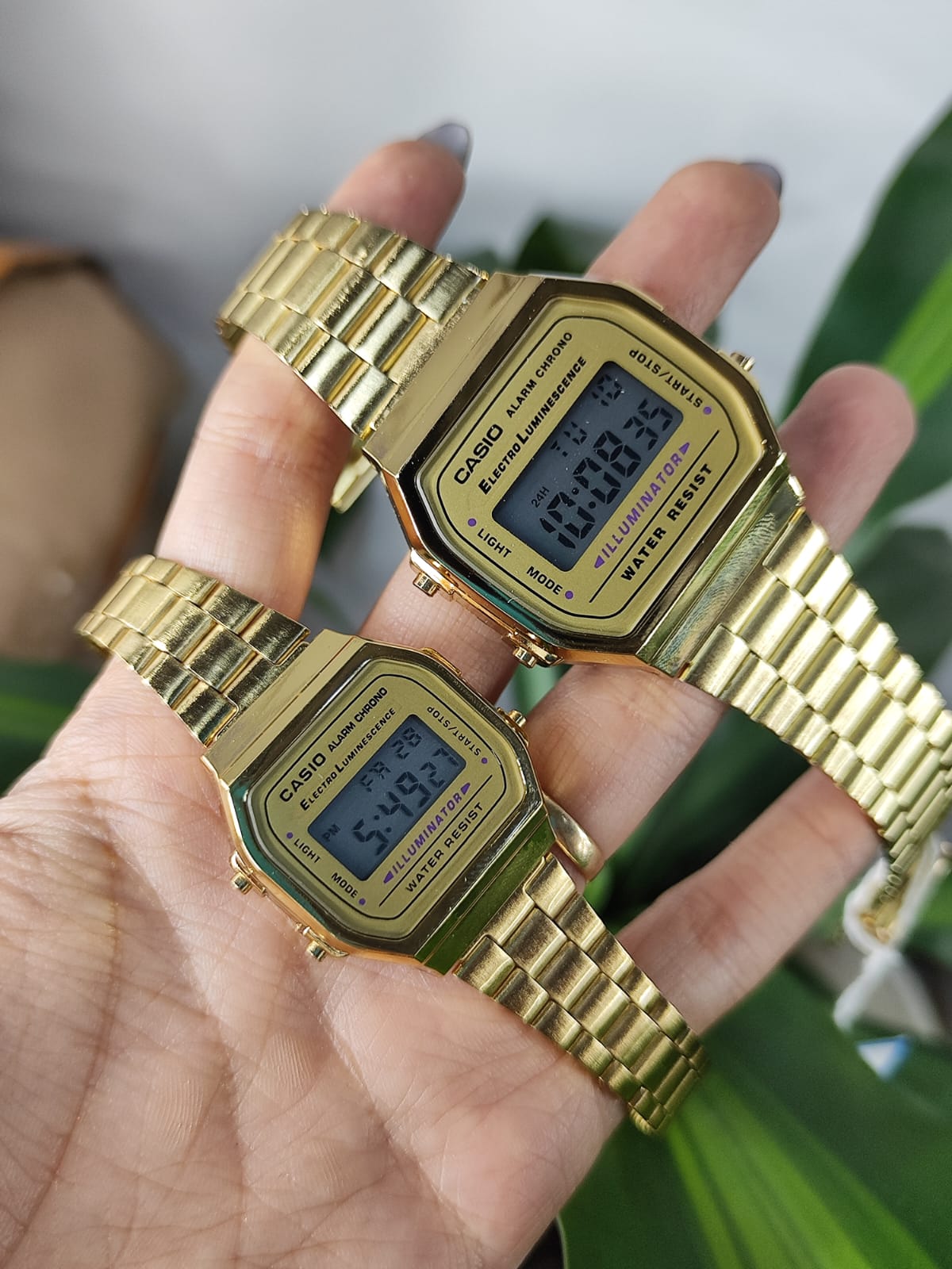 Casio (2627.035)