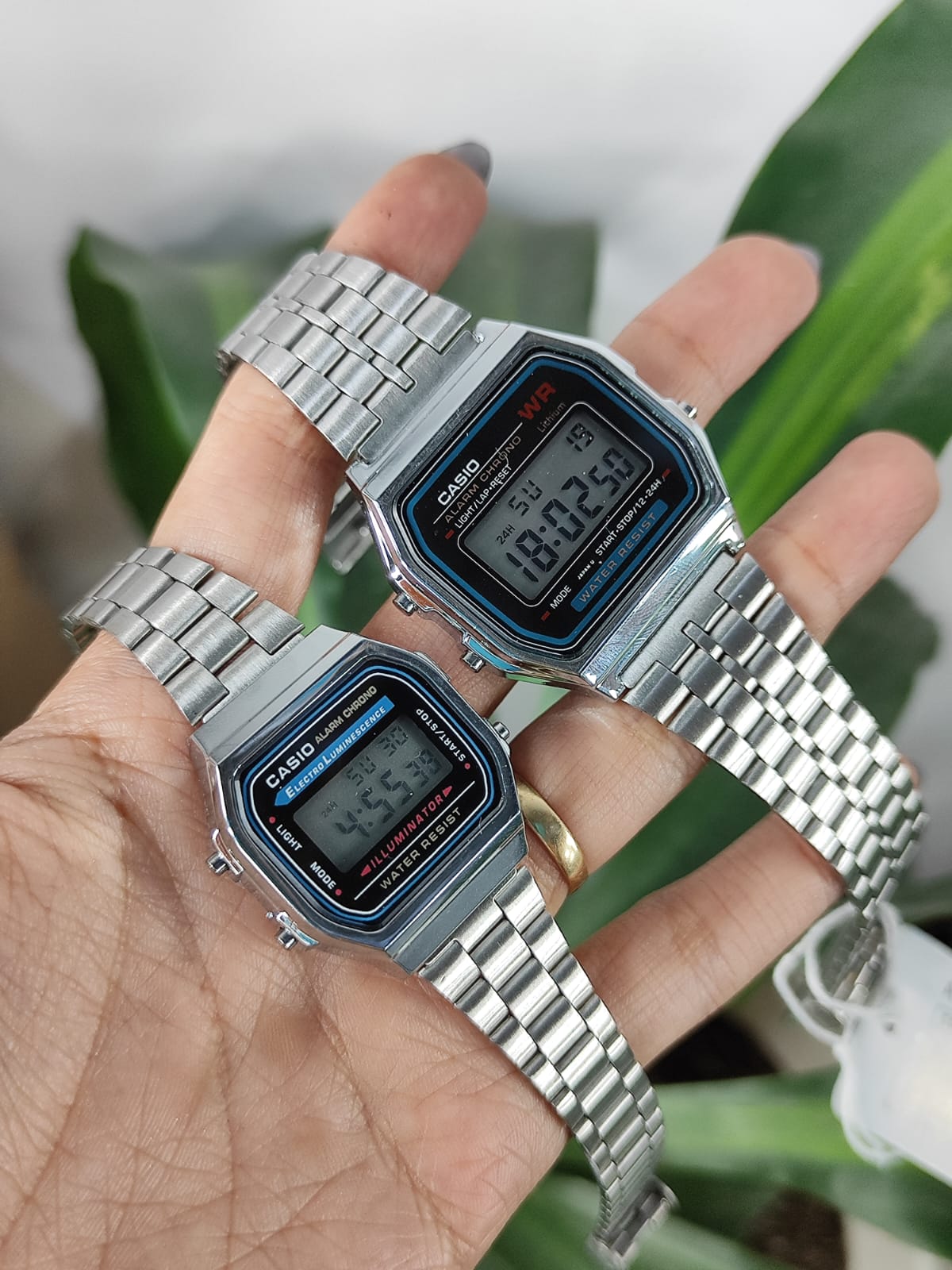 Casio (2627.035)
