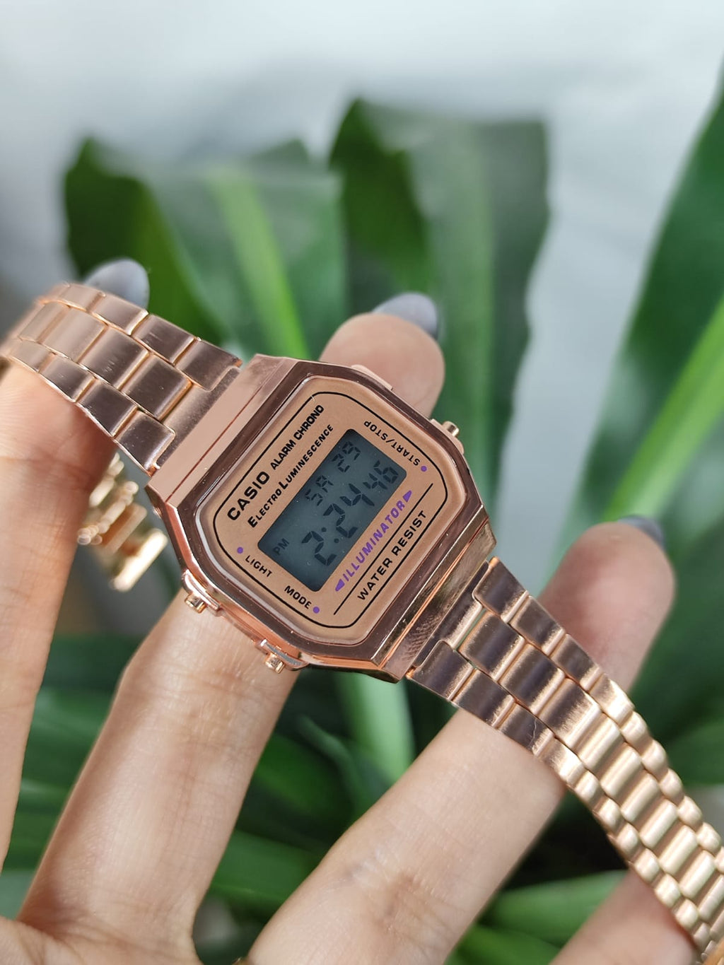 Casio (2627.035)